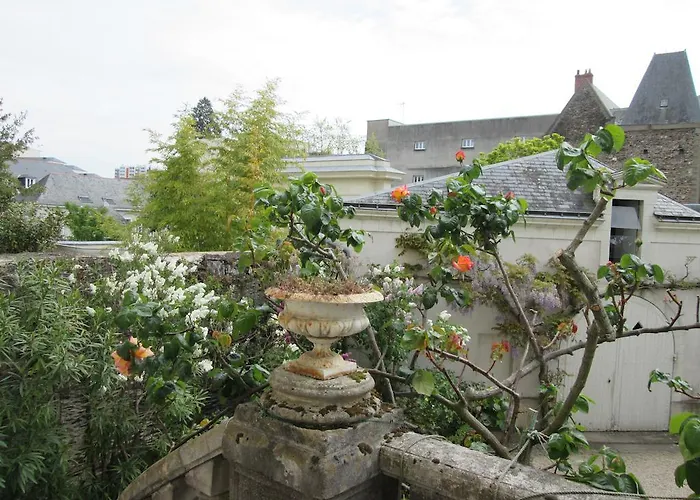 Bed & Breakfast D'hotes Marchand